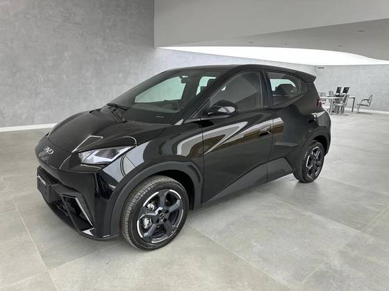 BYD DOLPHIN MINI 2025