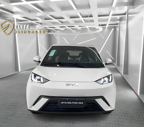 BYD DOLPHIN MINI 2025