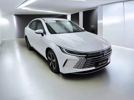 BYD KING 2025