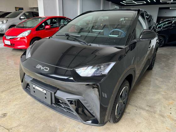 BYD DOLPHIN MINI 2025