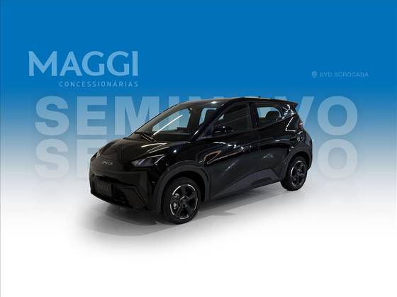 BYD DOLPHIN MINI 2024