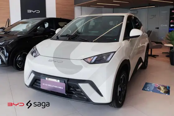 BYD DOLPHIN MINI 2025