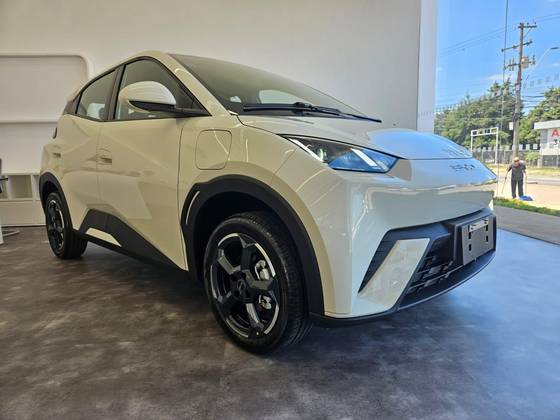 BYD DOLPHIN MINI 2025