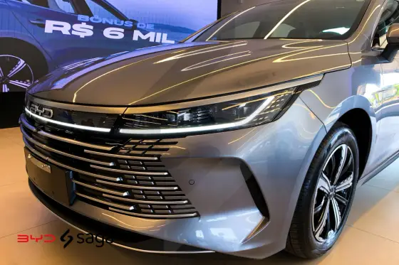 BYD KING 2025