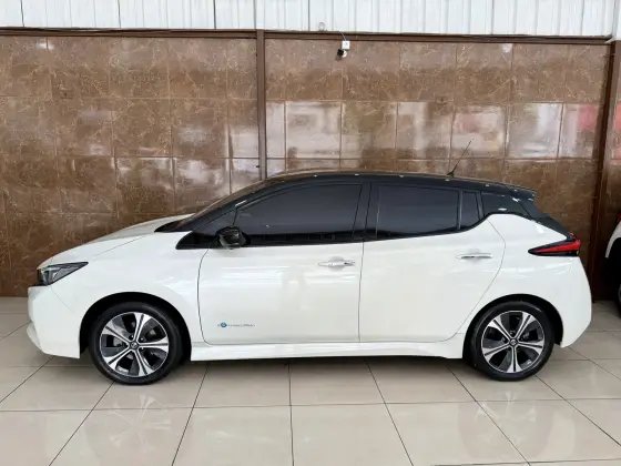 NISSAN LEAF 2020