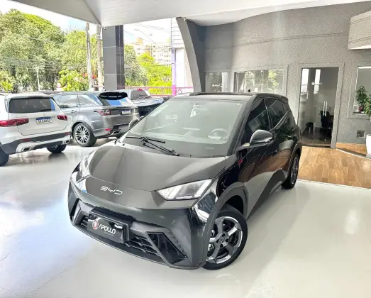 BYD DOLPHIN MINI 2025