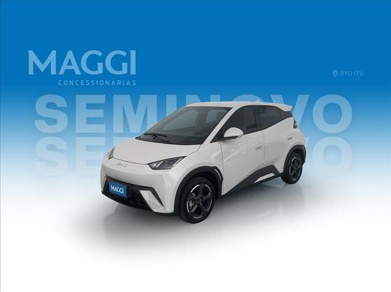 BYD DOLPHIN MINI 2025