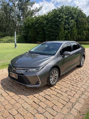 TOYOTA COROLLA 2023