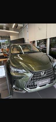 LEXUS NX 350h 2023