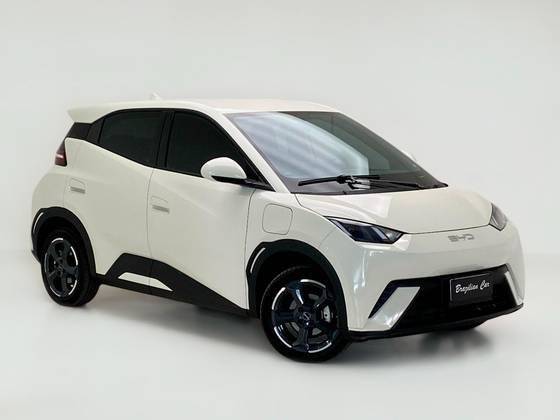 BYD DOLPHIN MINI 2025