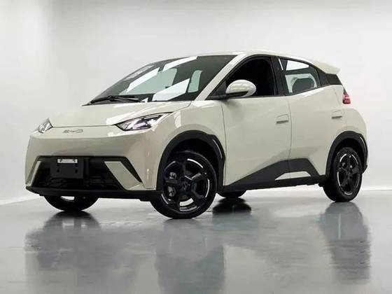 BYD DOLPHIN MINI 2025