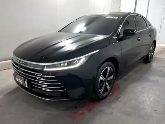 BYD KING 2025