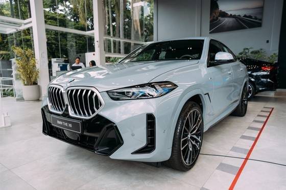 BMW X6 2025