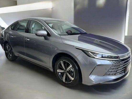 BYD KING 2025