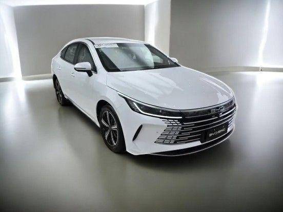 BYD KING 2025