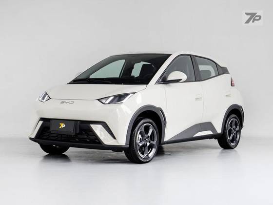 BYD DOLPHIN MINI 2025