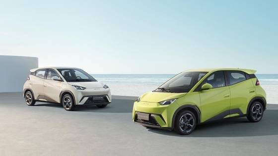 BYD DOLPHIN MINI 2025