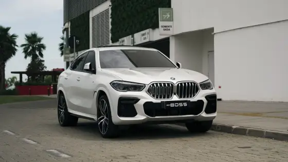 BMW X6 2022