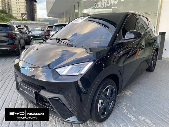 BYD DOLPHIN MINI 2025