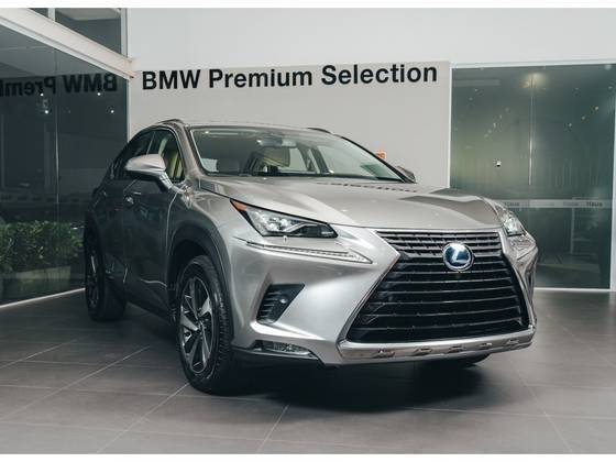 LEXUS NX 300h 2019
