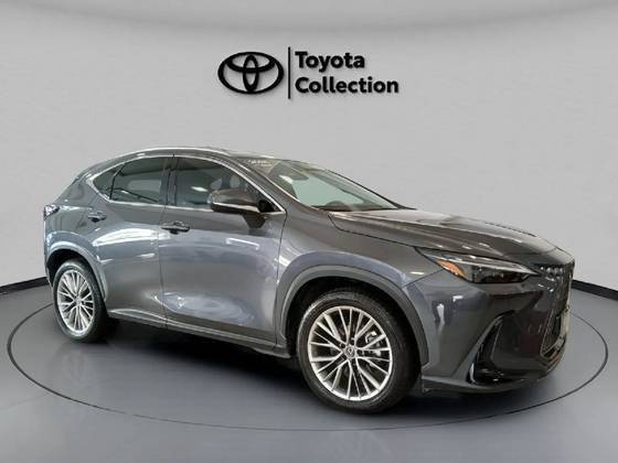 LEXUS NX 350h 2024
