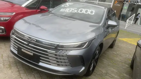 BYD KING 2025