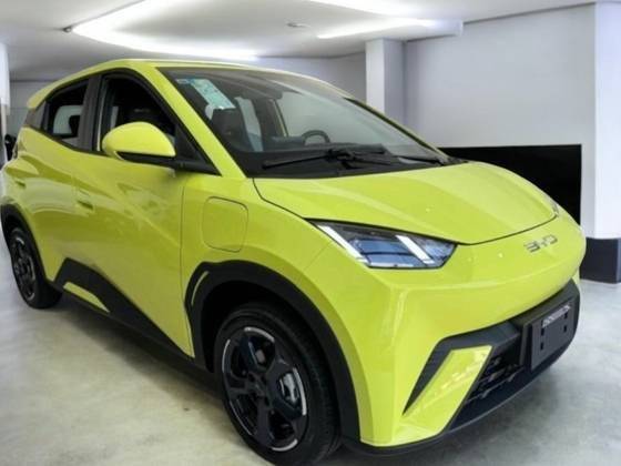 BYD DOLPHIN MINI 2025