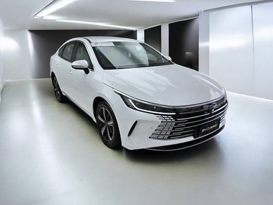 BYD KING 2025