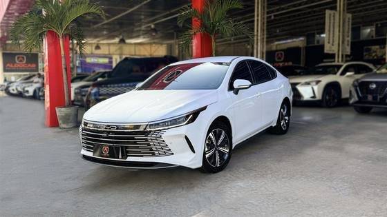 BYD KING 2025