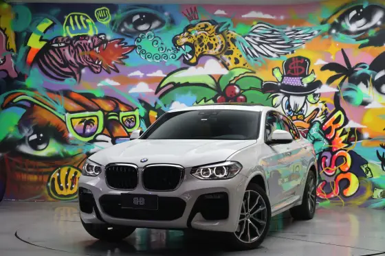 BMW X4 2021