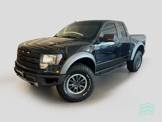 FORD F-150 2010