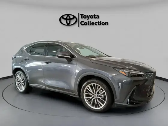 LEXUS NX 350h 2024