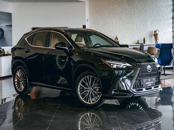 LEXUS NX 350h 2024