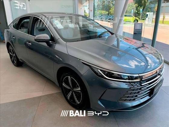 BYD KING 2025