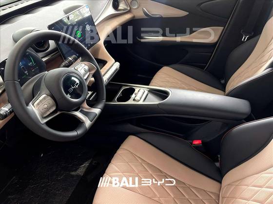 BYD DOLPHIN 2025