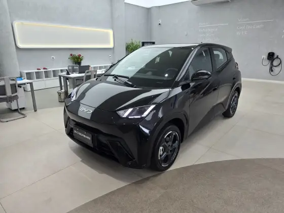 BYD DOLPHIN MINI 2025