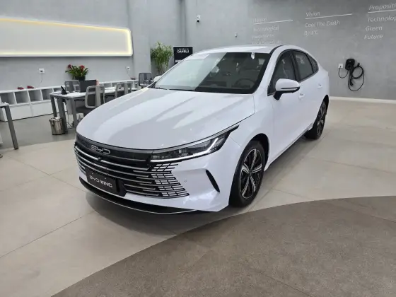 BYD KING 2025