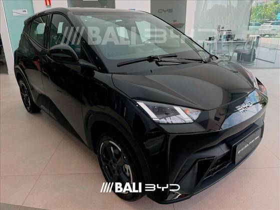 BYD DOLPHIN MINI 2025