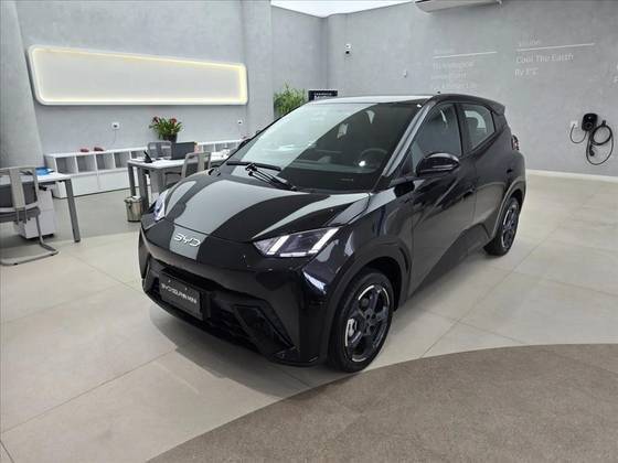 BYD DOLPHIN MINI 2025