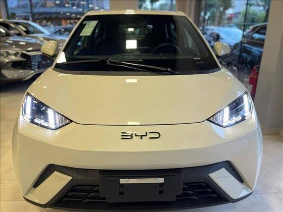 BYD DOLPHIN MINI 2025