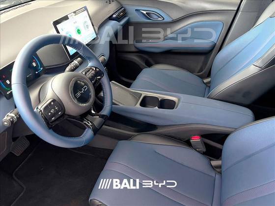 BYD DOLPHIN MINI 2025