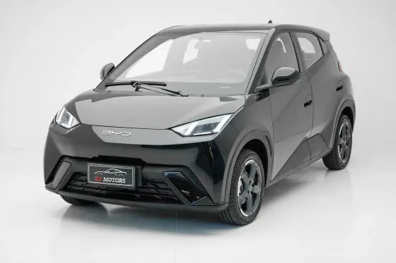 BYD DOLPHIN MINI 2025