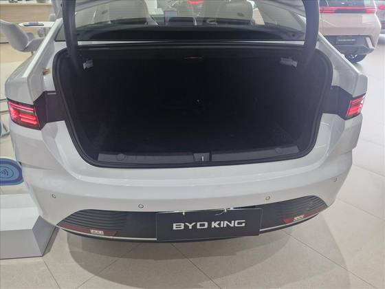 BYD KING 2025