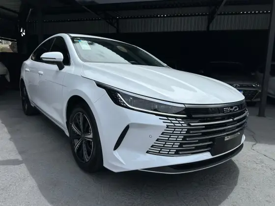 BYD KING 2025