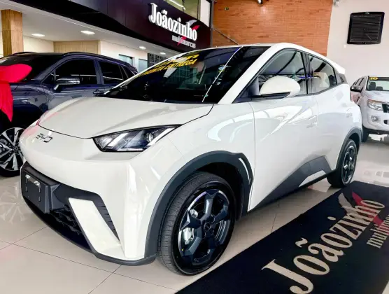 BYD DOLPHIN MINI 2025