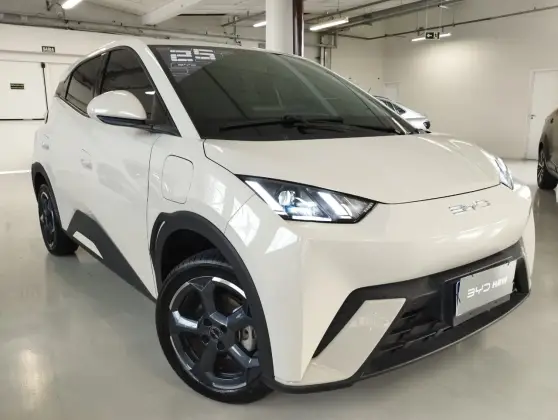 BYD DOLPHIN MINI 2025