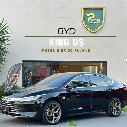 BYD KING 2025