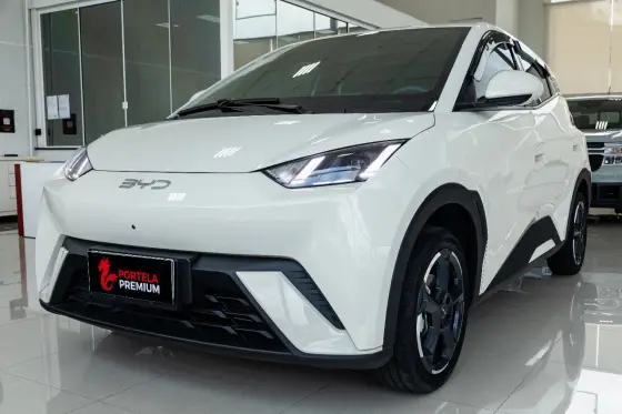 BYD DOLPHIN MINI 2025