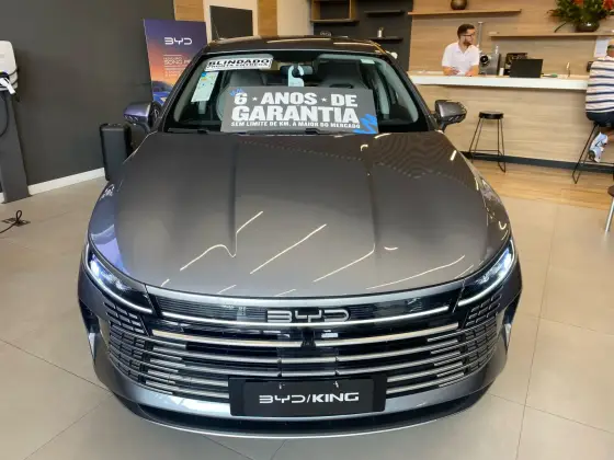 BYD KING 2025