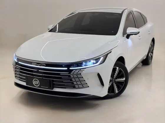 BYD KING 2025